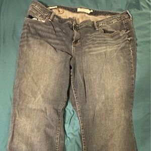 Torrid Straight Leg Jeans in Denim Blue